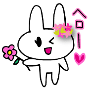 Daily conversation of flower bunny