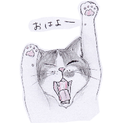 meow-cat