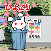 somehow rabbit 4