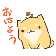 a lazy Shiba Inu Ver.everyday