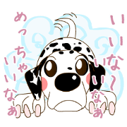 DALMATIAN Part7