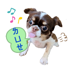 吉娃-黃有米 <Yumi小公主>