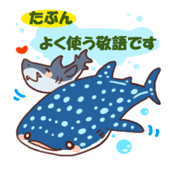 Shark &Whale shark &Talk