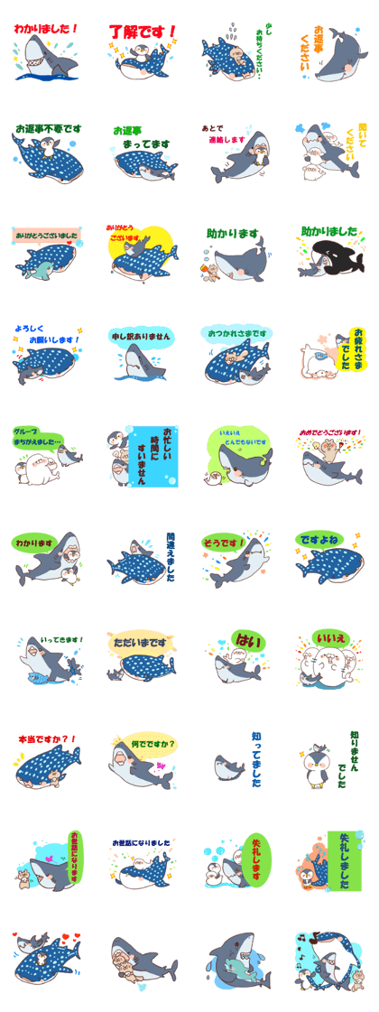 Shark &Whale shark &Talk