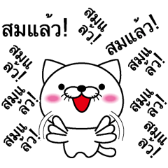 Too noisy cat Thai version