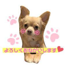 SUMIRE_20200607162803