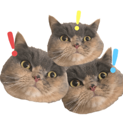 nozomi_20200607171118