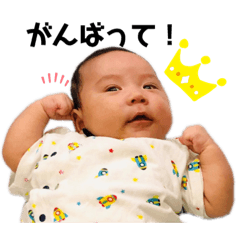 POKO_RYOMA_0-1month