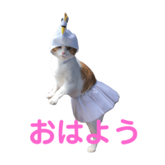 ポン太のスタンプ第3弾出来ました