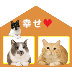 Guppy & Kuma-Kuma sippo Cat Sticker