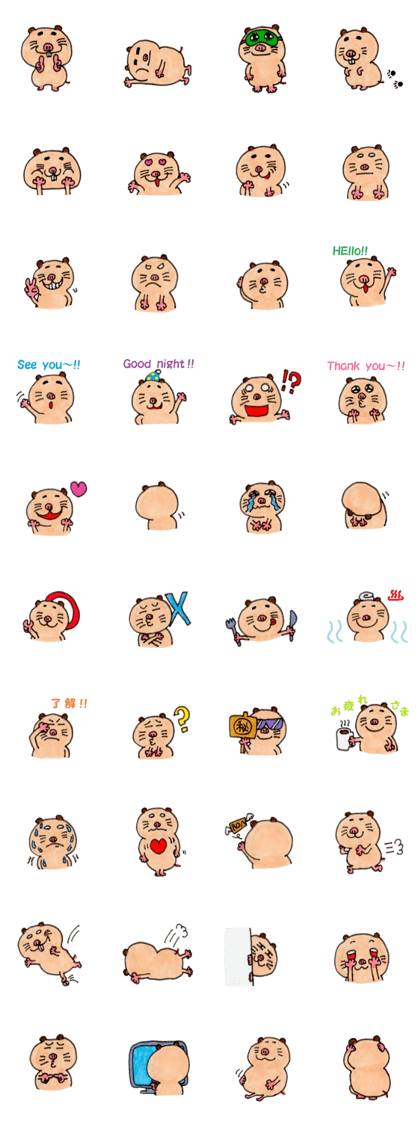 Kinkuma hamster "Hamuhamu"3