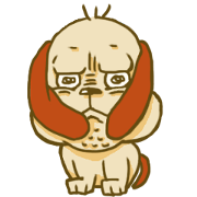 TKD DOG
