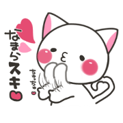 Hokkaido cat