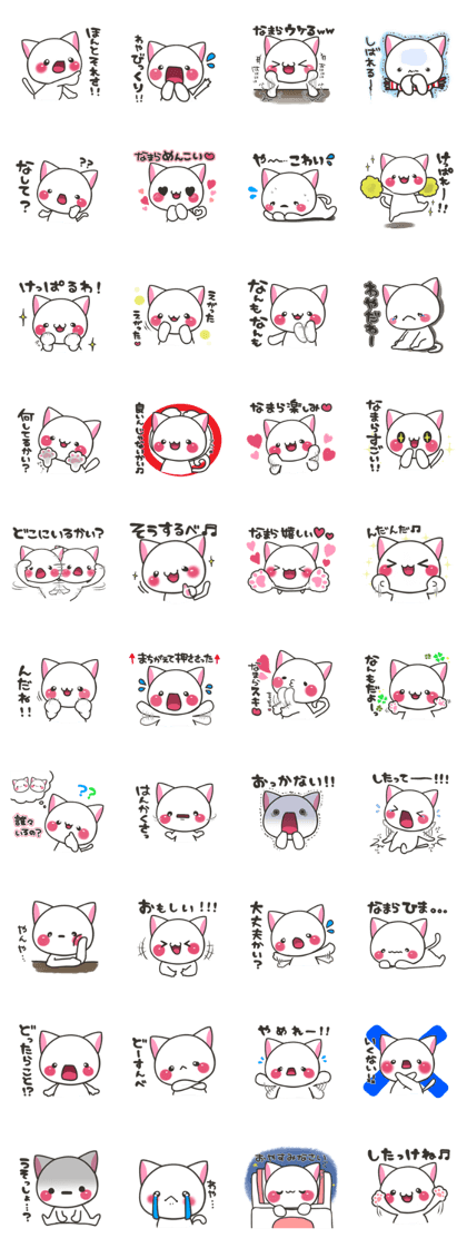 Hokkaido cat