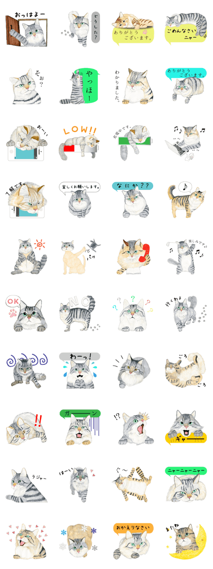 MaineCoon Sticker (Japanese)