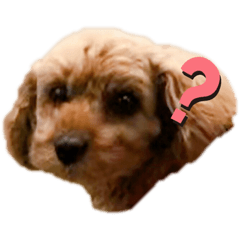 nanana_20200607171735