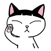 Pudding bowl haircut cat