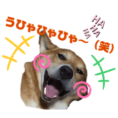 C43H66N12O12S2