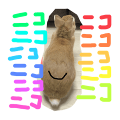MISO P