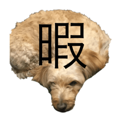 YAMADAs Dog