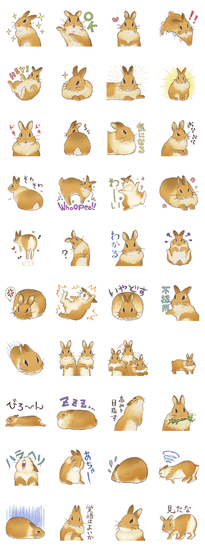 Funny Bunny's Sticker