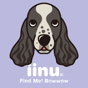 iinu - English Cocker Spaniel