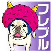 French Bulldog's Response
