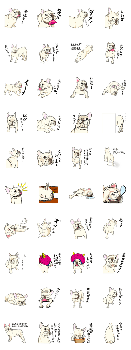 French Bulldog's Response