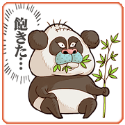 The Taciturn Panda