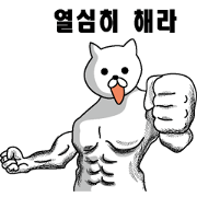 Muscle white cat Korean version