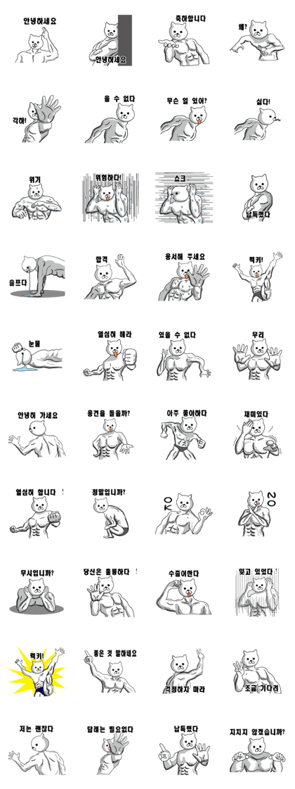 Muscle white cat Korean version
