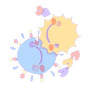 The fluffy circus troupe(*^-^*) The fluffy circus troupe(^-^)