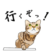 Nekotamablog official sticker2