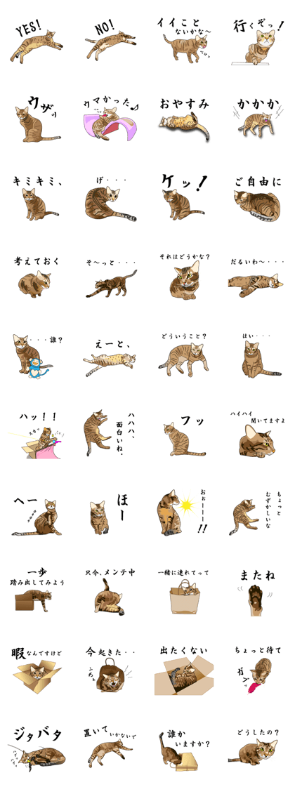 Nekotamablog official sticker2