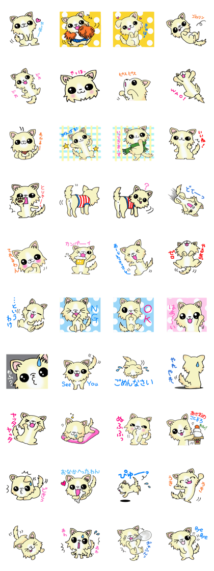Cream-colored puppy2