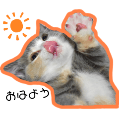 mIchiko_20200607223659