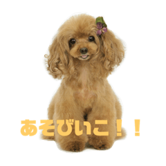 SaYa_20200608015244