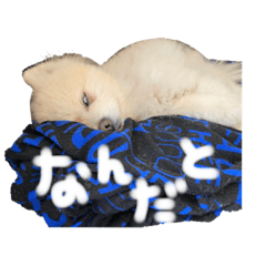 miyuu_20200608000720