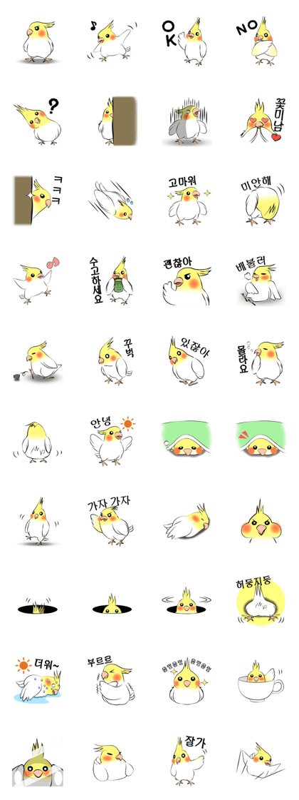 Feelings of Cockatiel(Korean)