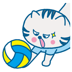 The cat which likes volleyball