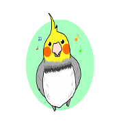 Pretty Mr,cockatiel