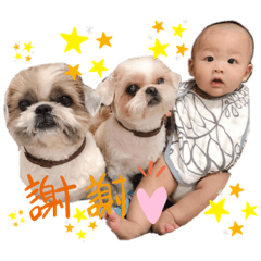 強森的日常貼圖1