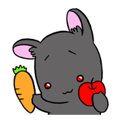 black rabbit in amami
