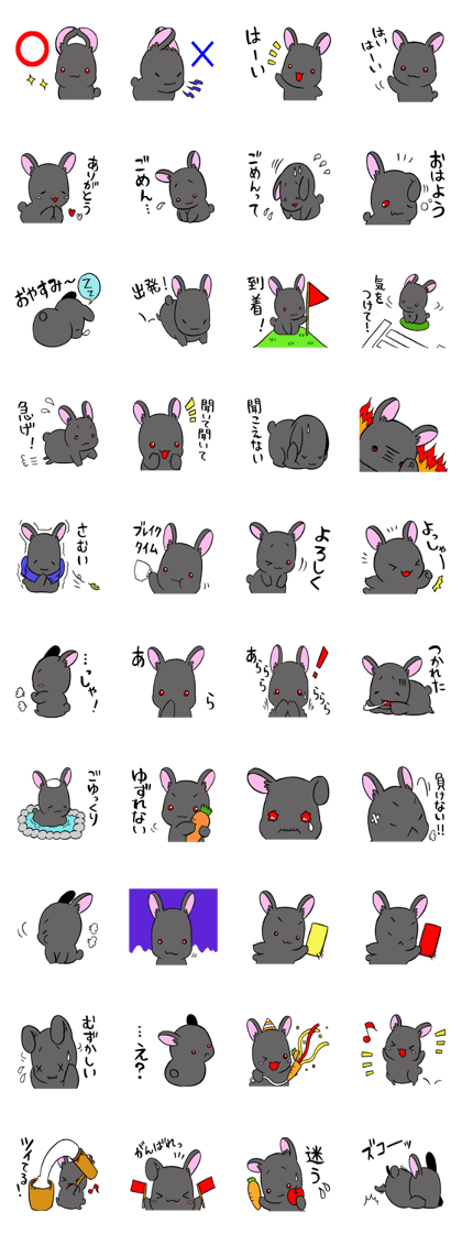 black rabbit in amami