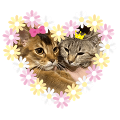 kurumi_20200608124630