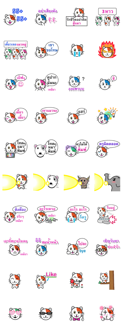 CAT fun