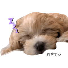 mugiiii stamps_kasuga