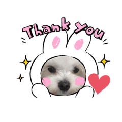 最可愛的連妮可qq