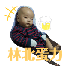 豆芽菜之發芽日記