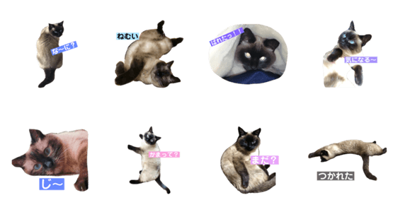 ねこのみみちゃん Lineクリエイターズスタンプ Stamplist